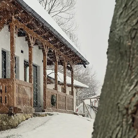 Lodge Plai Din Bran Bran (Brasov)