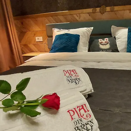 Plai Din Bran Bran (Brasov)